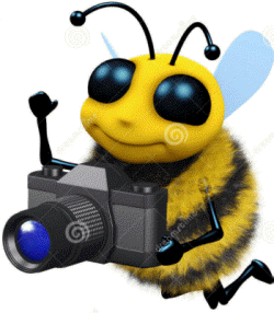 3d Photographer bee stock illustration. Illustration of honeybee - 39580473